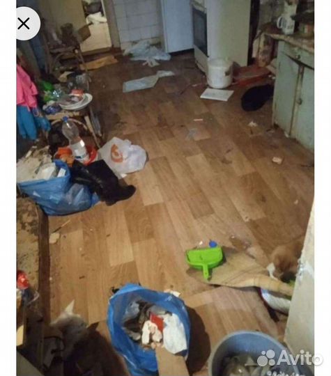 Уборка квартир