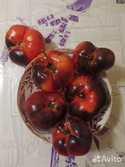 Семена коллекционных сортов томатов