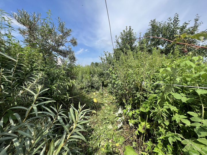 Дом 56,6 м² на участке 20 сот.