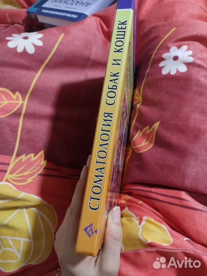 Стоматология собак и кошек