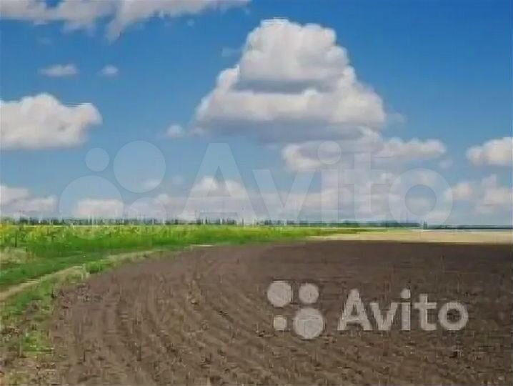 Участок 5 га (СНТ, ДНП)