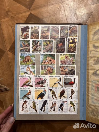 Альбомы с марками животные