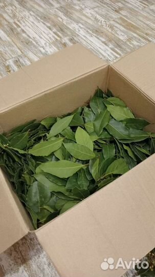 Лавровый лист (пучками и кг.)