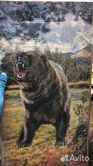 Нарды природа большой размер