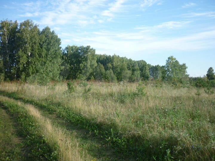 Участок 7,5 га (СНТ, ДНП)