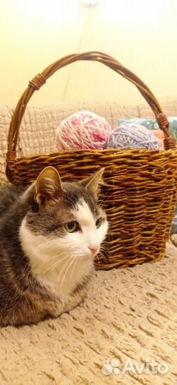 Продам корзины