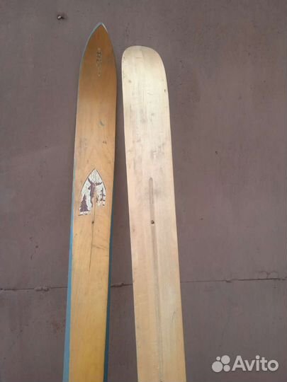 Лыжи для охоты