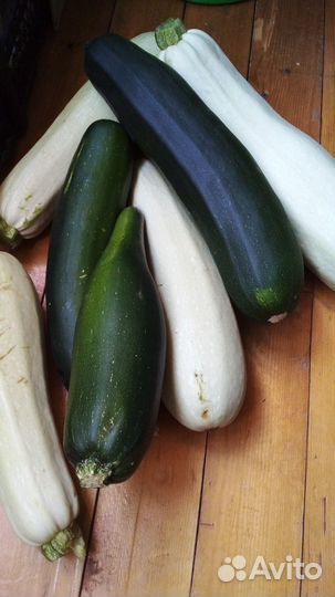 Кабачки молоденькие