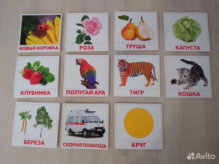 Набор развивающих карточек