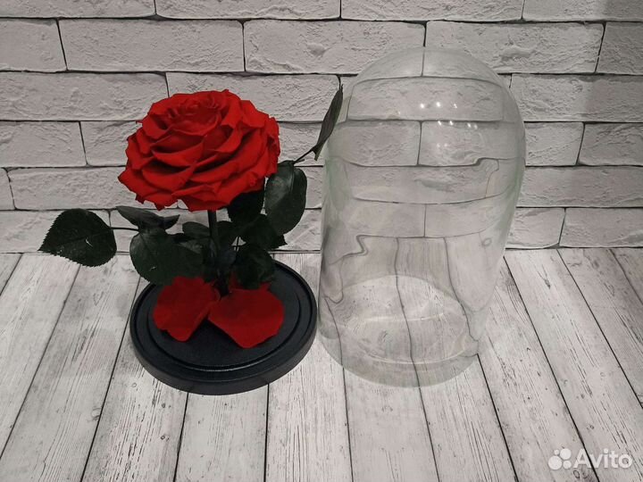 Розы в колбе живые