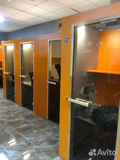 Зоогостиница, передержка животных