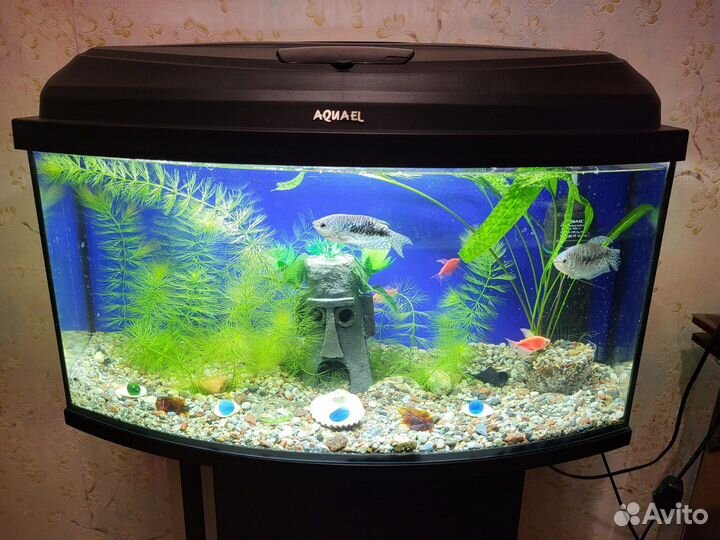 Новый аквариум Laguna Crystal 18 литров