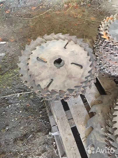 Дисковая пила