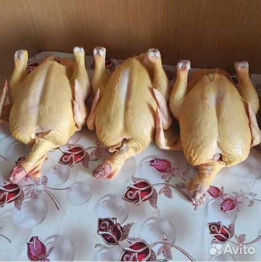 Мясо домашней птицы