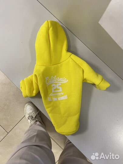 Одежда для собак