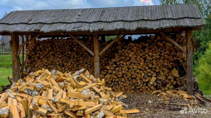 Дрова понимающих
