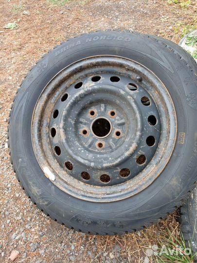 Bridgestone WT-11 205/55 R16 91M