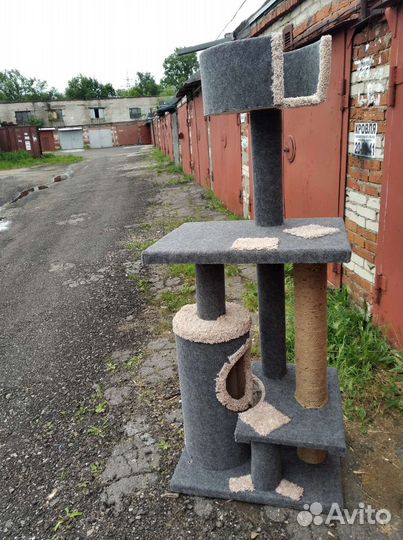 Когтеточка/кошачий комплекс