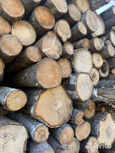 Дрова,лес,берёза,осина,баланс хвоя