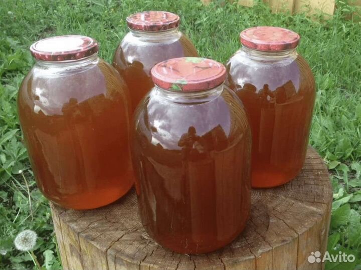 Продам Мёд(качка август)