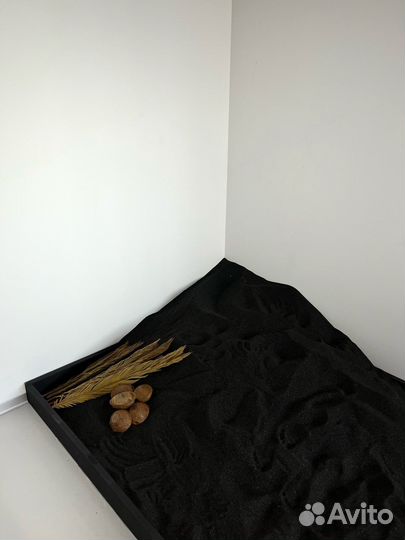 Аренда фотостудии FaceCoin