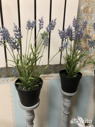 Цветок лаванда, IKEA