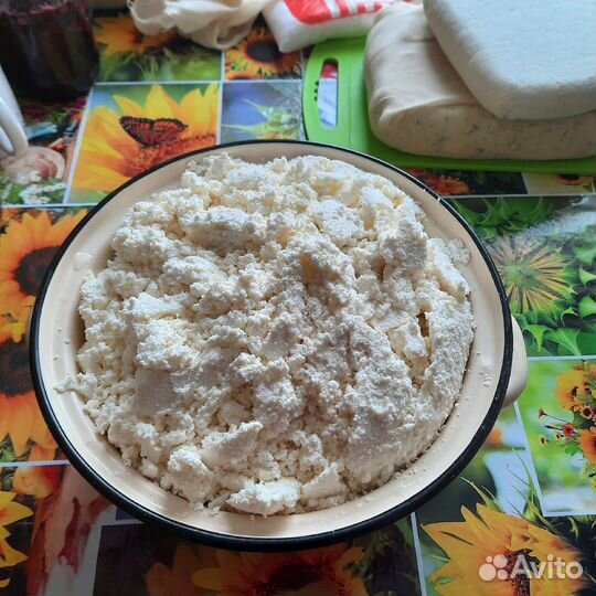 Козий сыр/творог