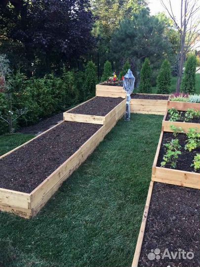 Продажа рулонного газона