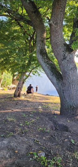 Участок 10 сот. (СНТ, ДНП)