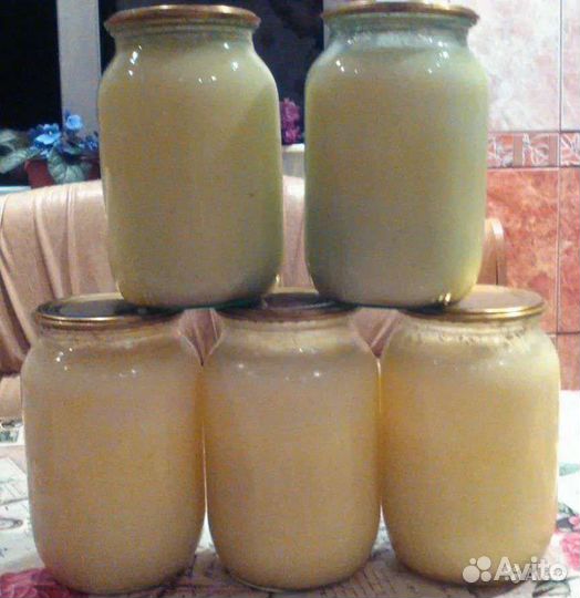 Барсучий жир свежий