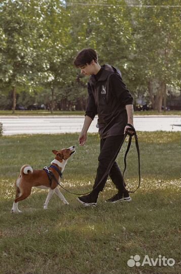 Дрессировка собак с выездом на дом