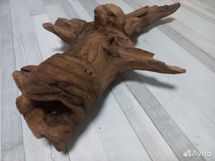 Коряга, компрессор тетра, Аквариум