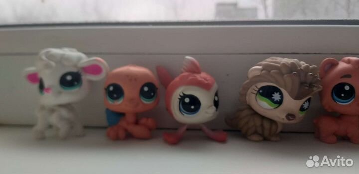 Lps, лпс, петы