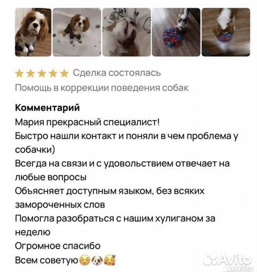 Кинолог, зоопсихолог, дрессировка собак, коррекция