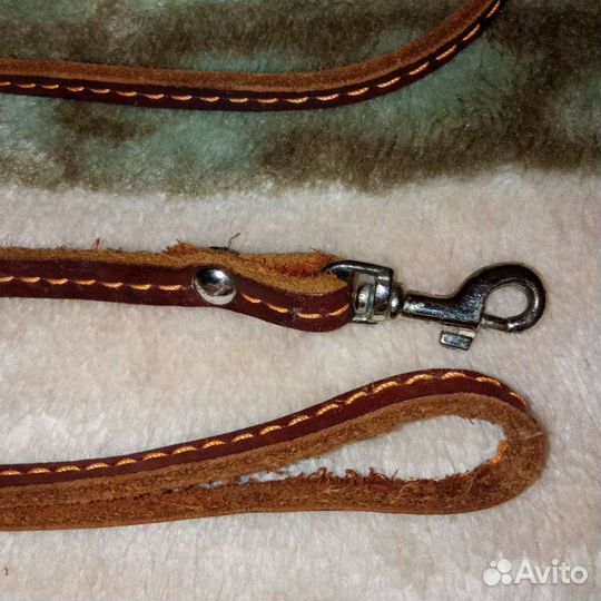 Поводок для маленьких собак, кошек