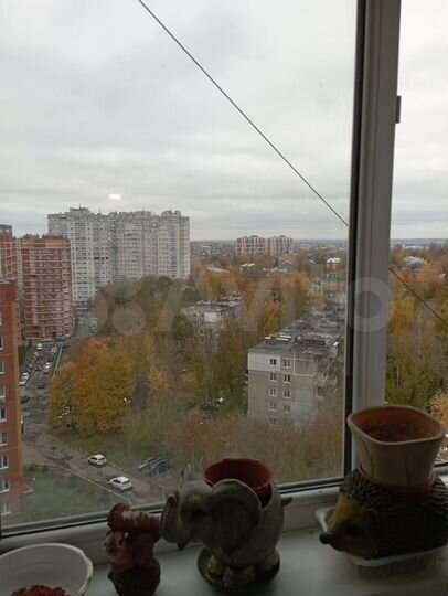 2-к. квартира, 50,4 м², 11/12 эт.