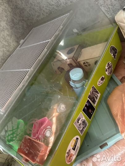 Клетка для грызунов