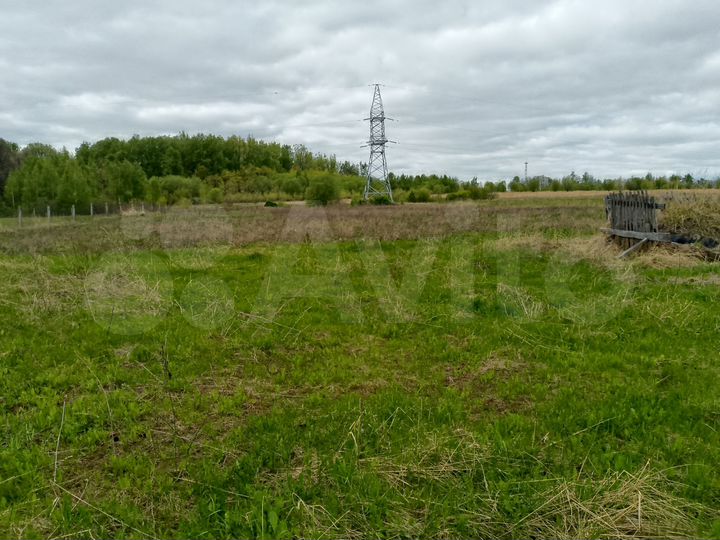 Участок 40 сот. (СНТ, ДНП)