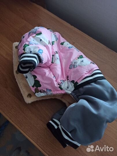 Одежда для маленьких собак