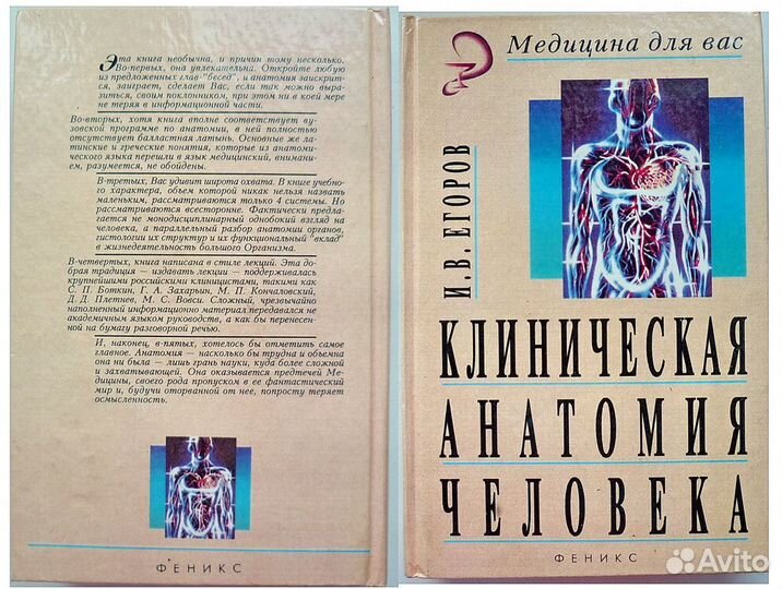 Книга Клиническая анатомия человека И.В.Егоров