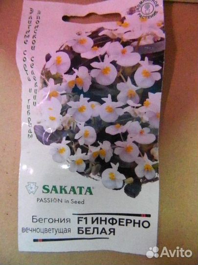 Семена глоксинии, колеусов