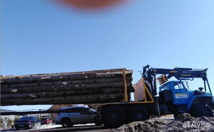 Береза, осина кругляк. Лес на лежневку