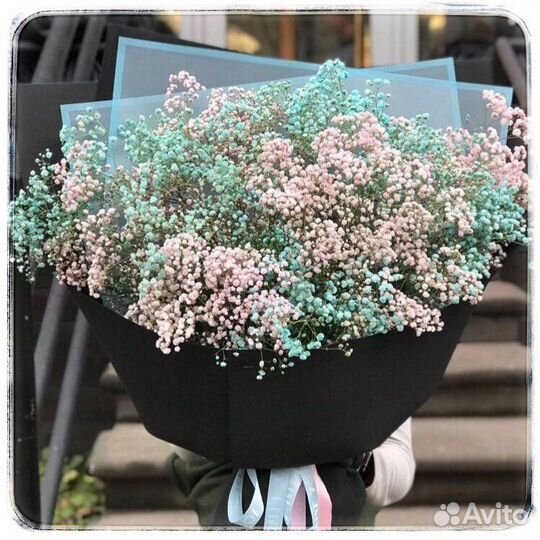 Цветы гипсофила букеты