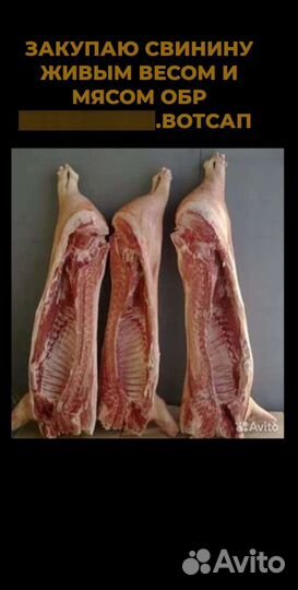 Мясо свинина домашняя