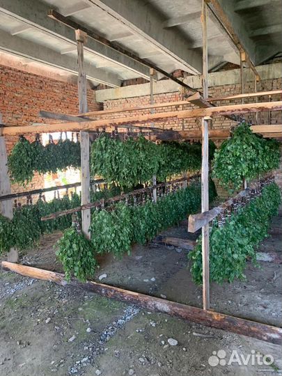 Веники для бани