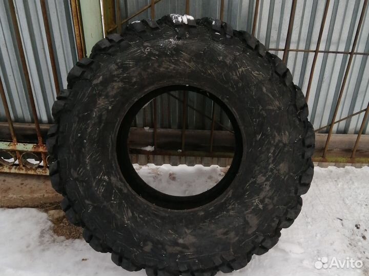 Ободрыши для сокол