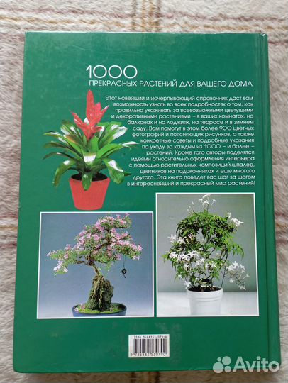 1000 прекрасных растений в вашем доме Янтра Ингрид