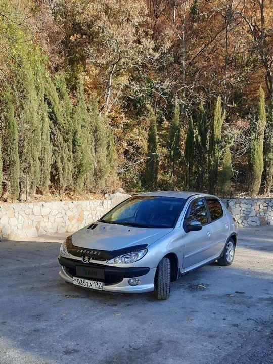 Peugeot 206: фото владельца