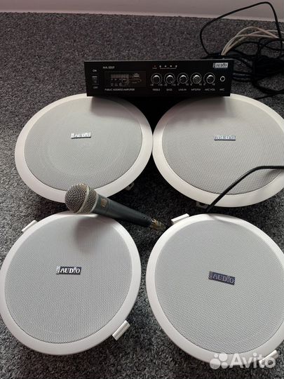 Встраиваемая акустическая система Pro Audio