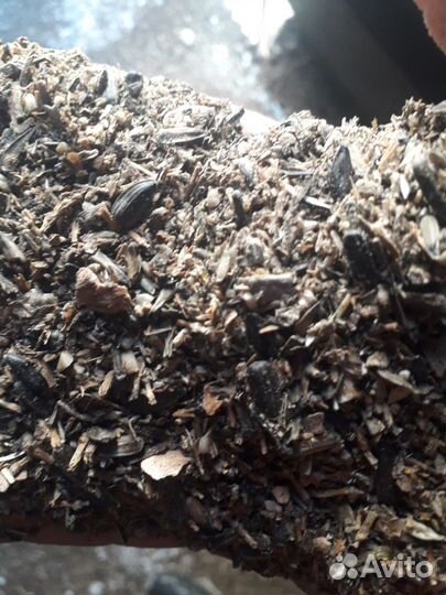 Отходы семечки